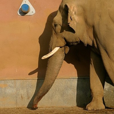 Сергей Проскурин | Воронеж