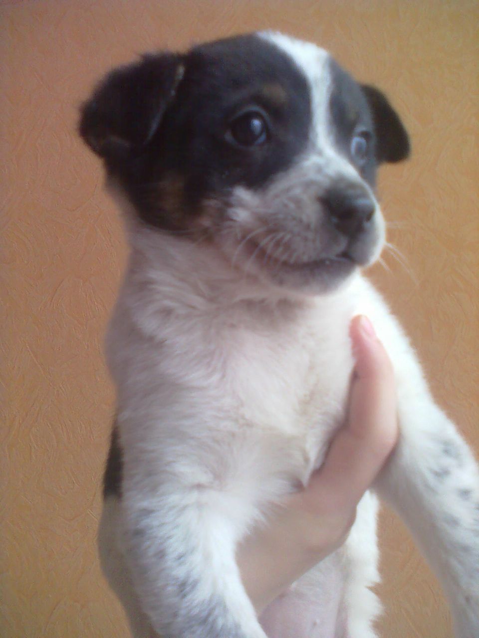 Санька Родионова | Москва