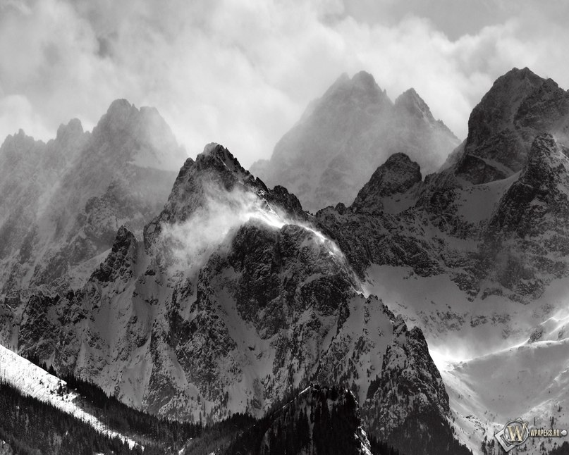 Никита Шеин | Sydney