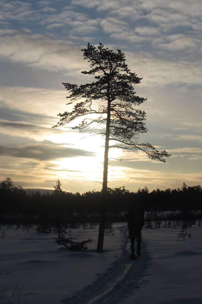 Арсений Петрик | Харьков