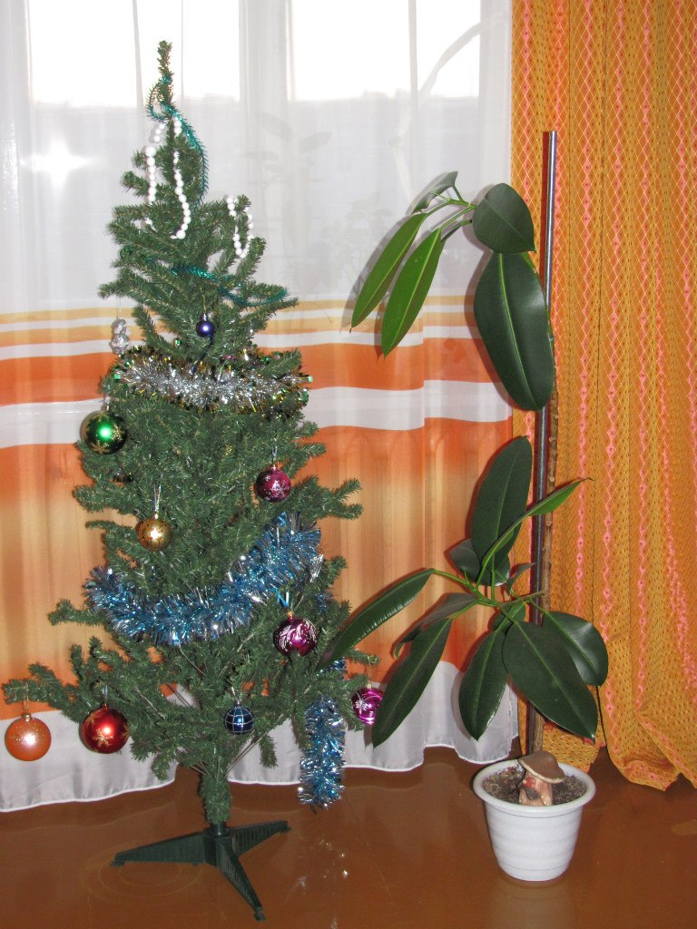 Ирина Воробьёва | Северодвинск