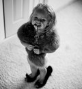 Фотография Na Iri