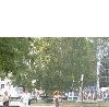 Дима Владов | Санкт-Петербург