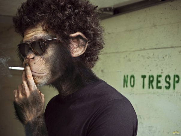 №8, Димка Подольский, 41 год, Полоцк №8, Димка Подольский, 41 год, Полоцк