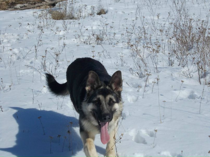 Ангелина Маркелова •¸•▪♥ ЛюБлЮ и ЛюБиМа♥▪•¸• | Боровичи