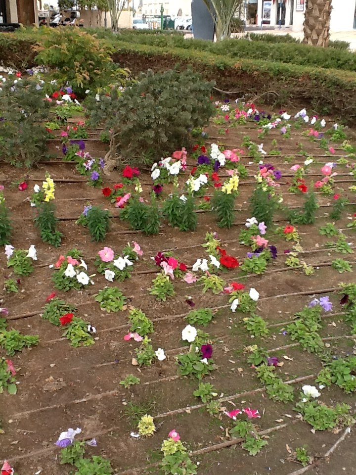 Татьяна Поберей | Москва