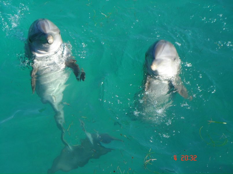 Алексей Чернов | Пермь