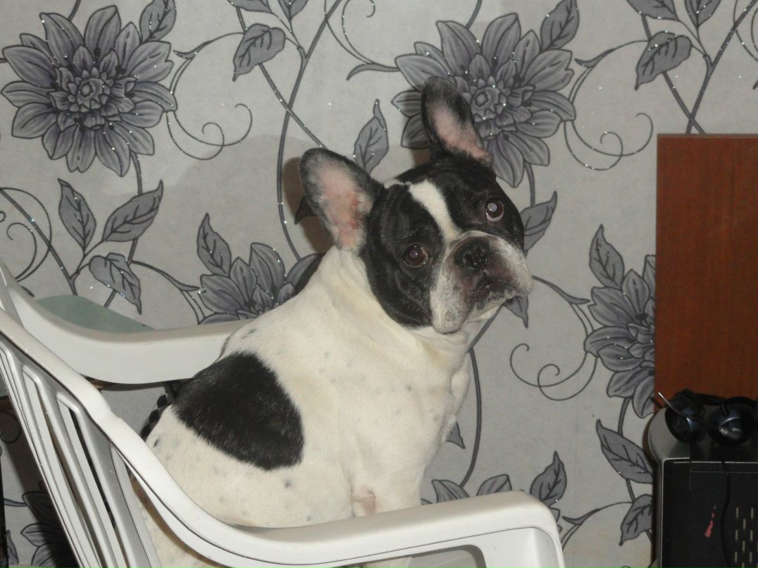 Маришка Городецкая BeL'4oNok | Бузулук