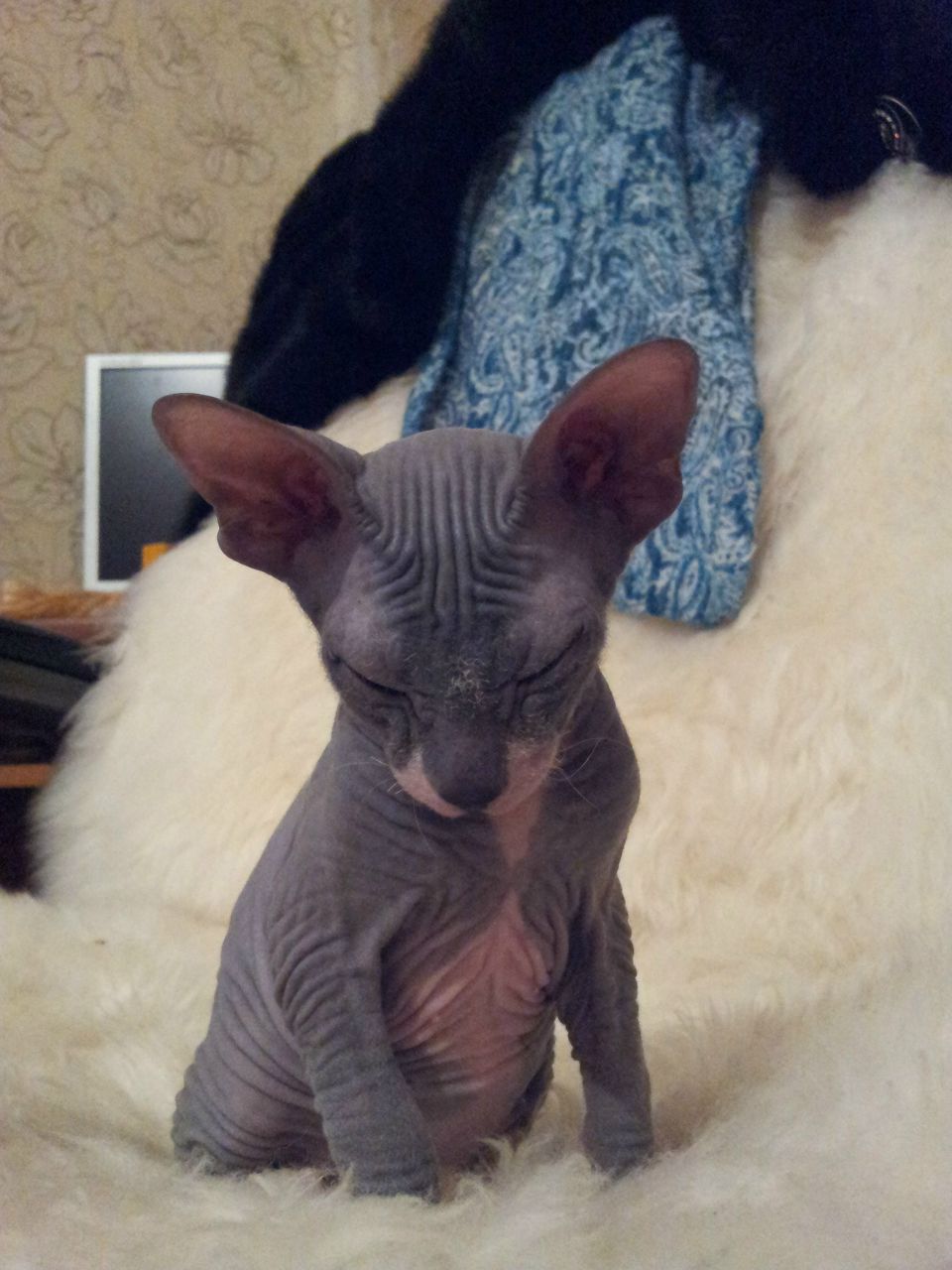 Алексей Чистяков | Сургут