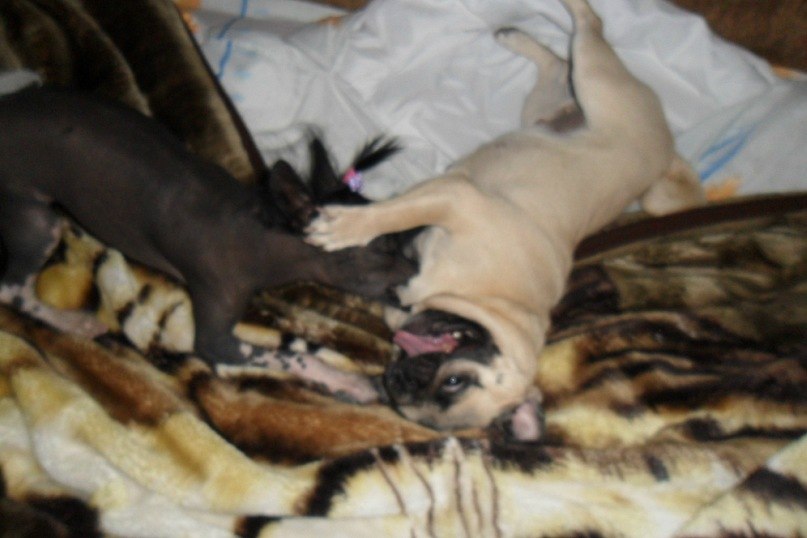 Алёна Пасечник | Одесса