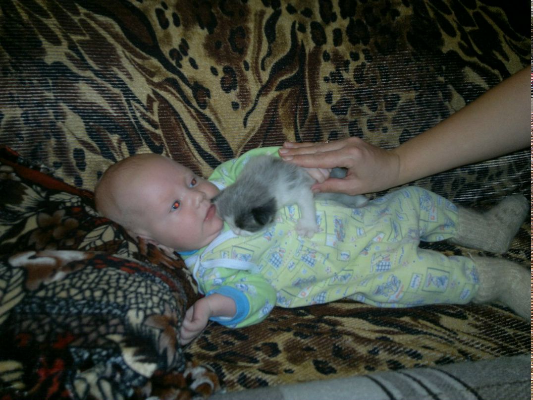 Дима Лялин | Димитровград