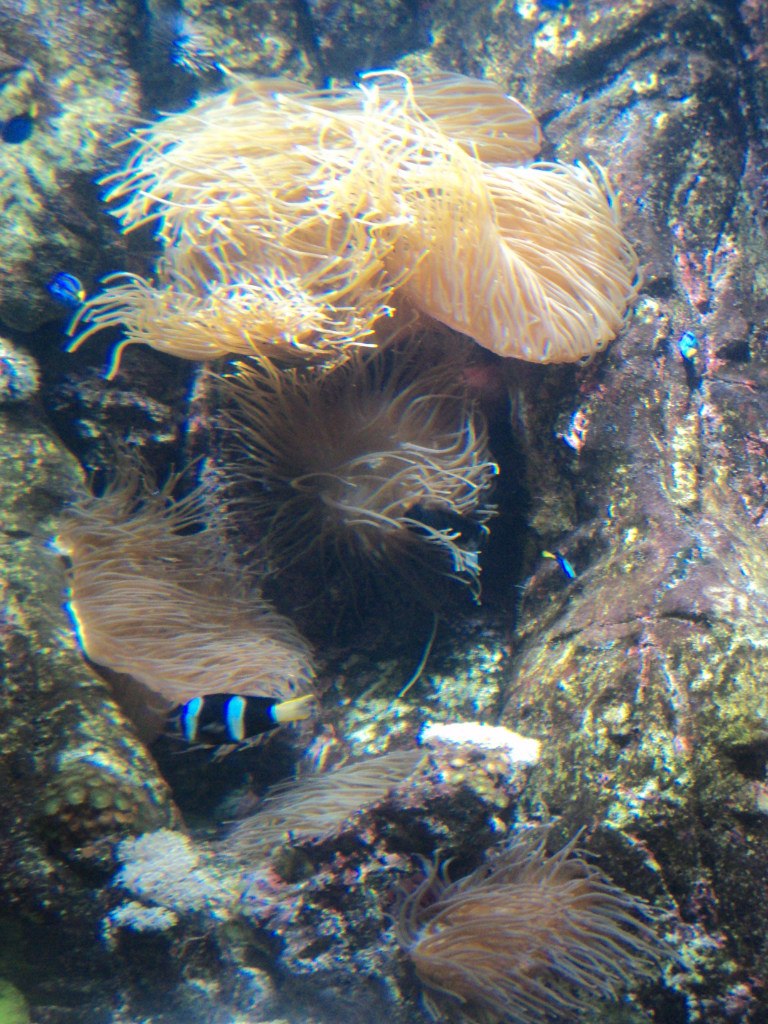 Инна Билоус | Одесса