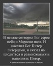 Алена Дикова, 43 года, Санкт-Петербург, Россия, 09.07.1982