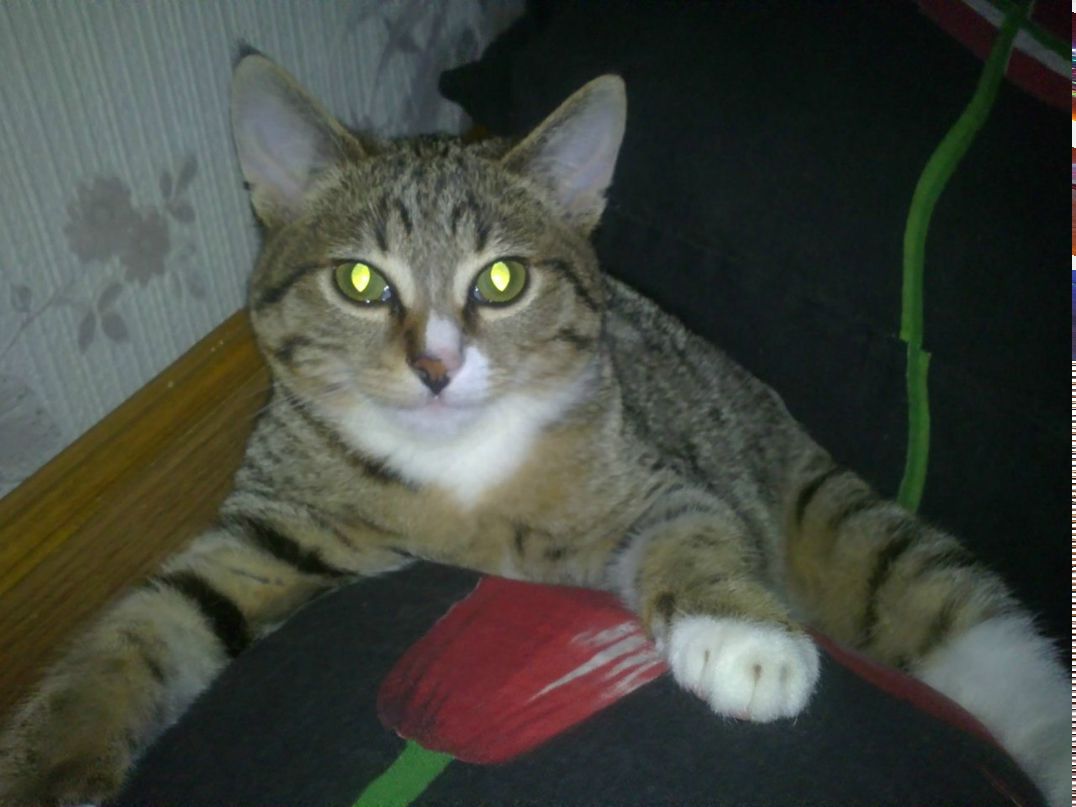 Ника Онищенко | Мурманск