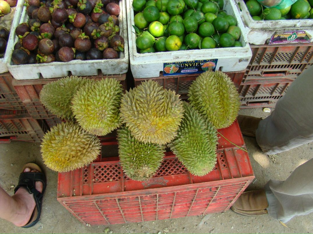 Олег Ройко | Харьков