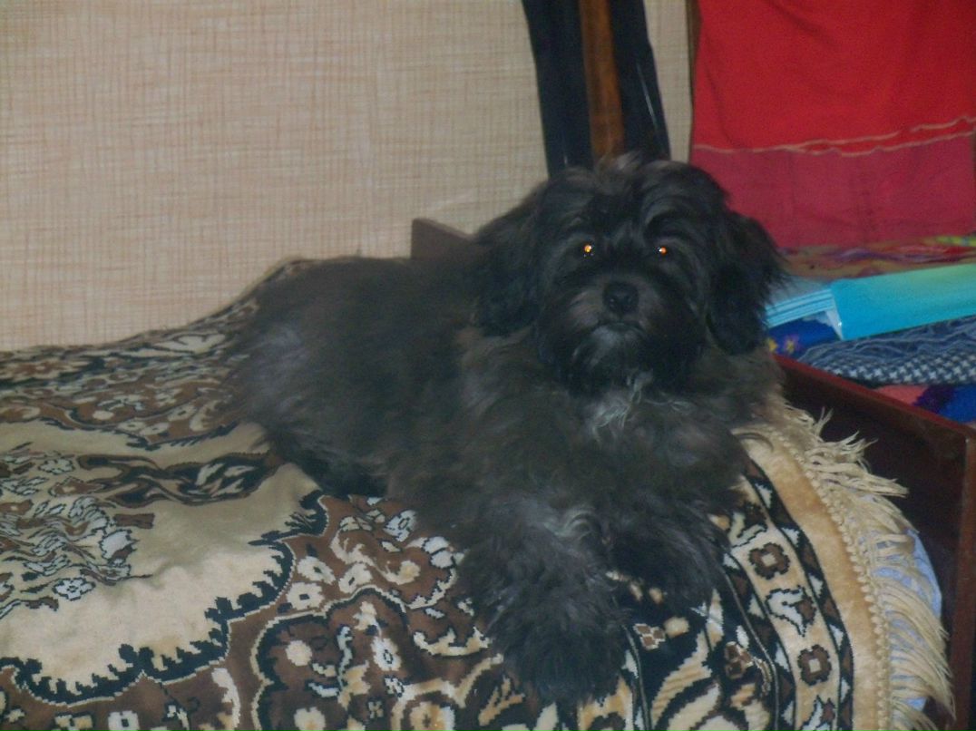 Оксана Ровенко | Бор