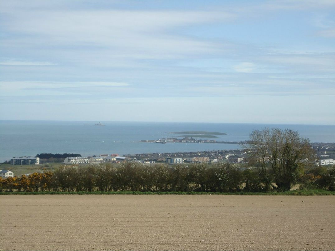 Алексей Пронин student | Минск