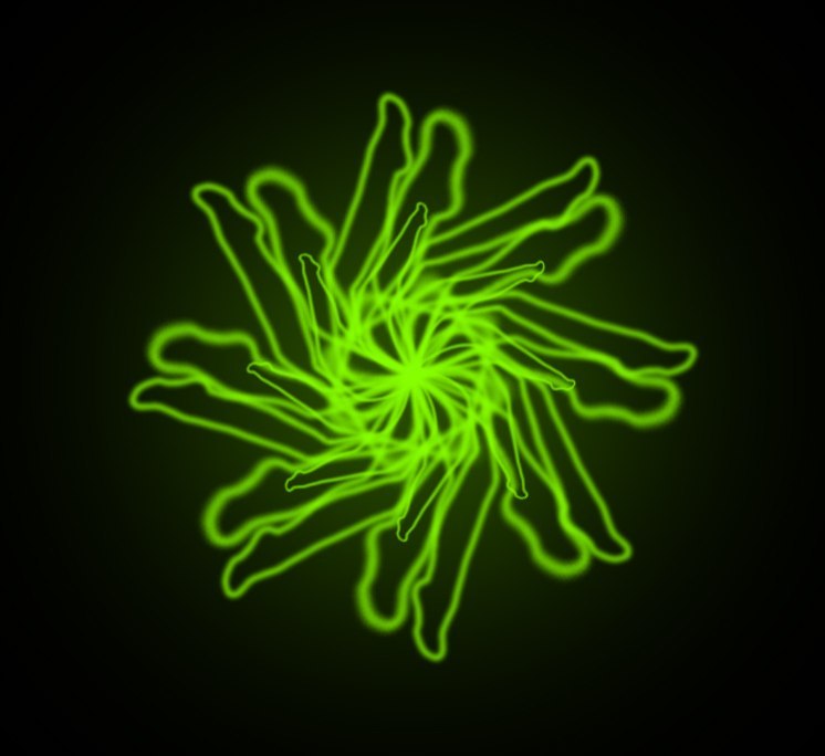 Никита Иванов | Санкт-Петербург