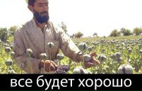 Фотография Александр Корбут