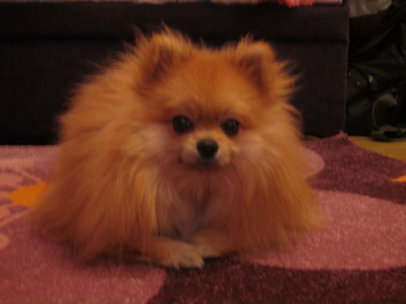 Яночка Окунёва | Москва