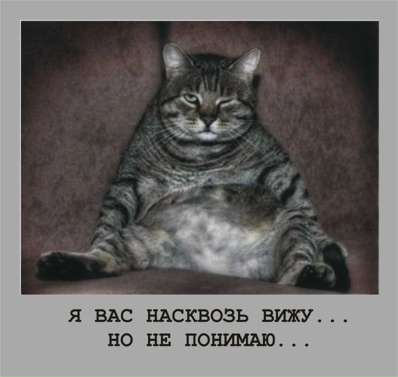 Козьма Прутков | Санкт-Петербург