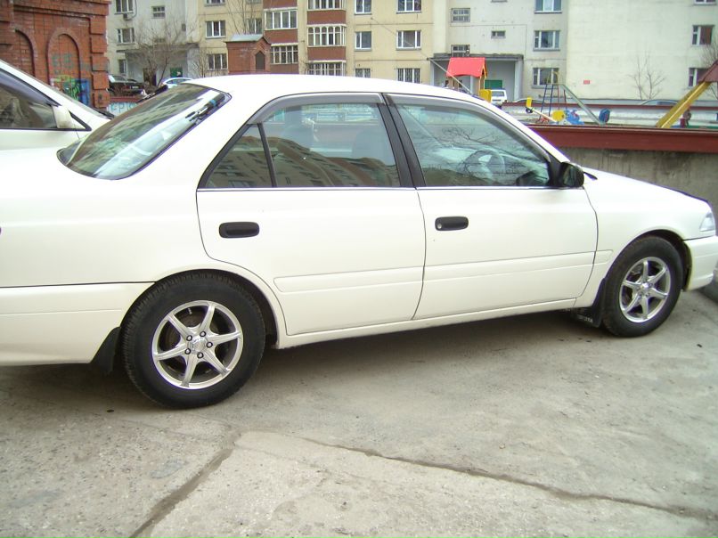 Мария Курина | Новосибирск