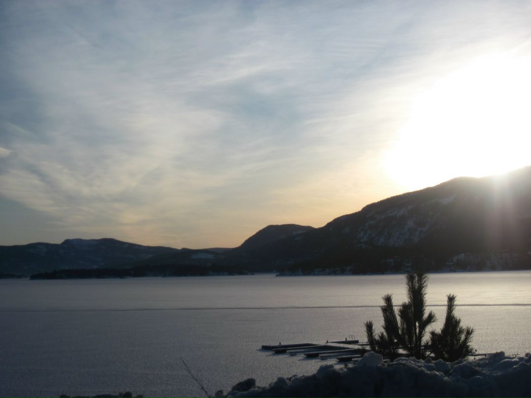 Ксения Фокша | Тверь