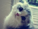 Фотография Хайруллиной Альбины