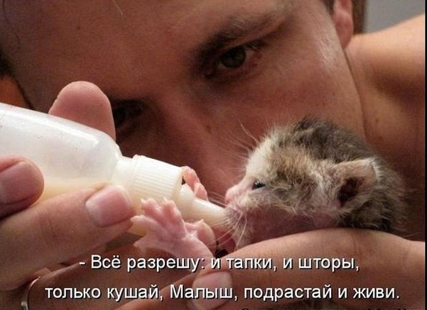 №14, Наталя Шимуха, Тернополь №14, Наталя Шимуха, Тернополь