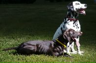 №40 Vitaly Smirnov 16.11.1982: профиль, фото, статус - ВКонтакте