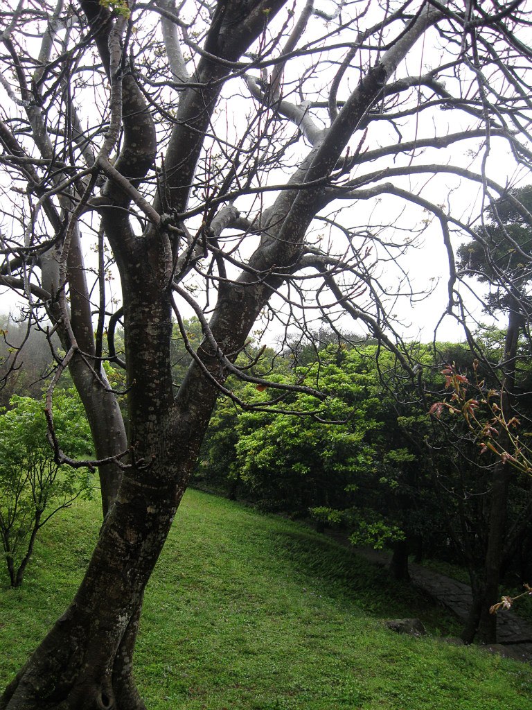 Лена Харьковская | Нижний Новгород