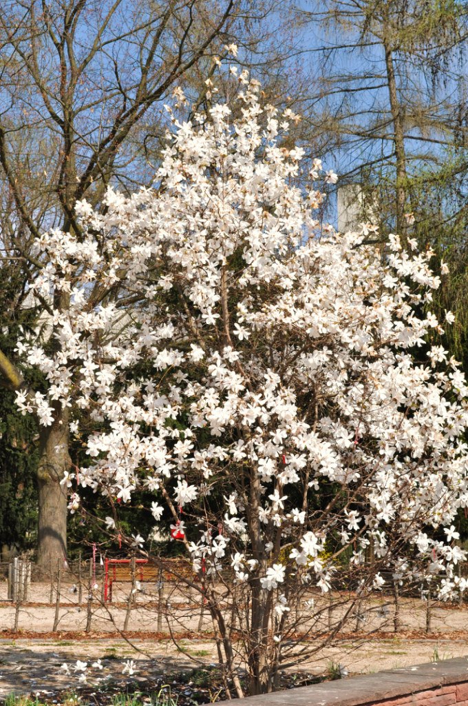 Алексей Семенов | München