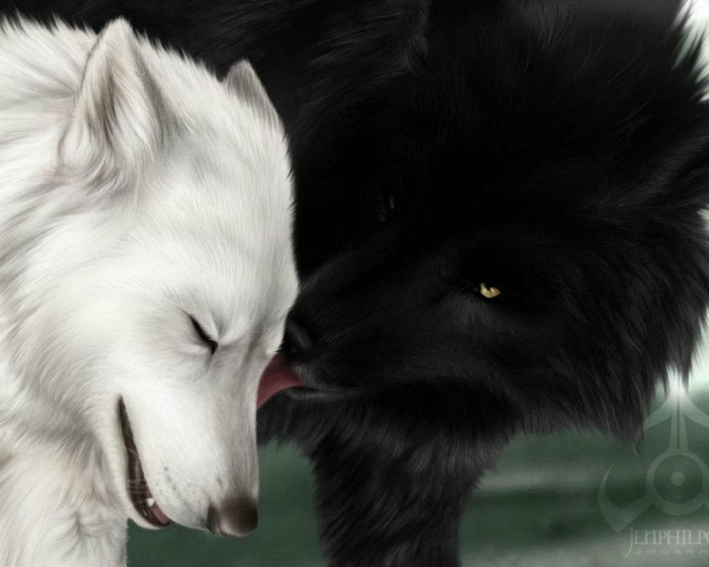 Артем Иванов ๑۩۩๑Иванович๑۩۩๑ | Тюмень (село)