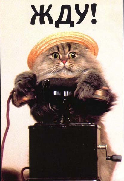 Юлия Сластен | Харьков