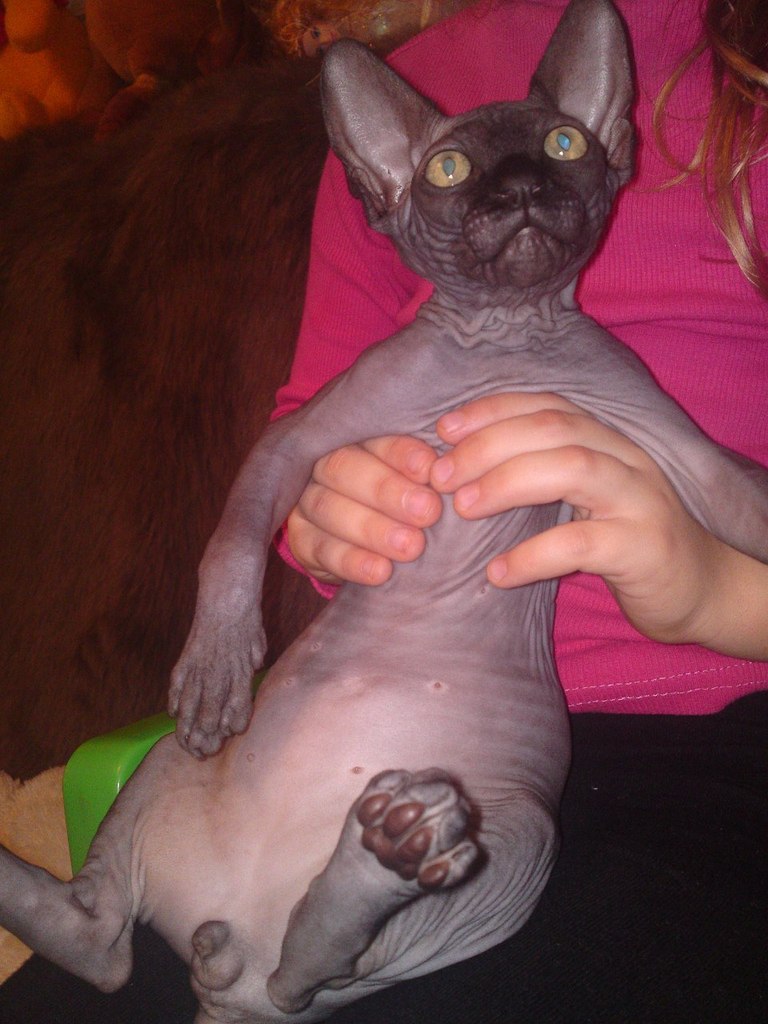 Марина Петрова | Саратов