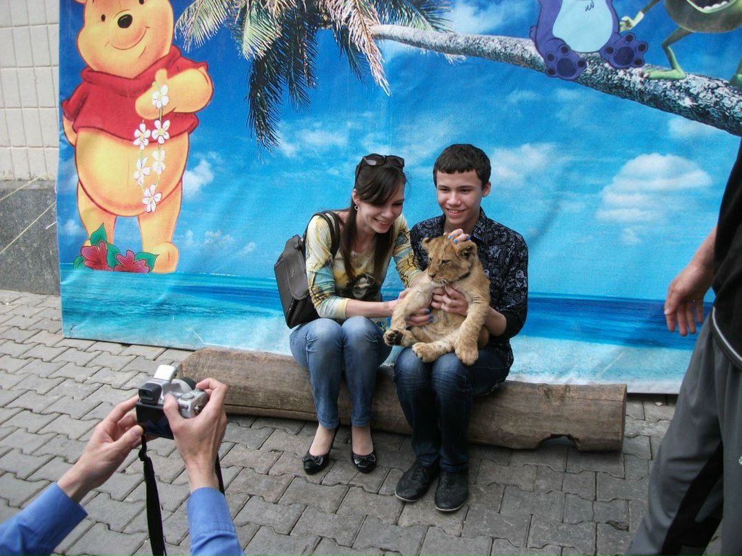 Darin Solod | Ташкент