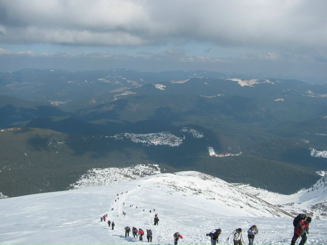 Діма Кохан | 