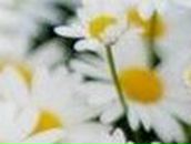 Кристина Фатьянова *Розкажи,мені на картах,де ти є* | Одесса