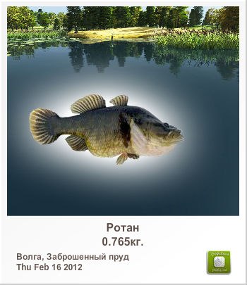 Дима Виноградов ku | Москва
