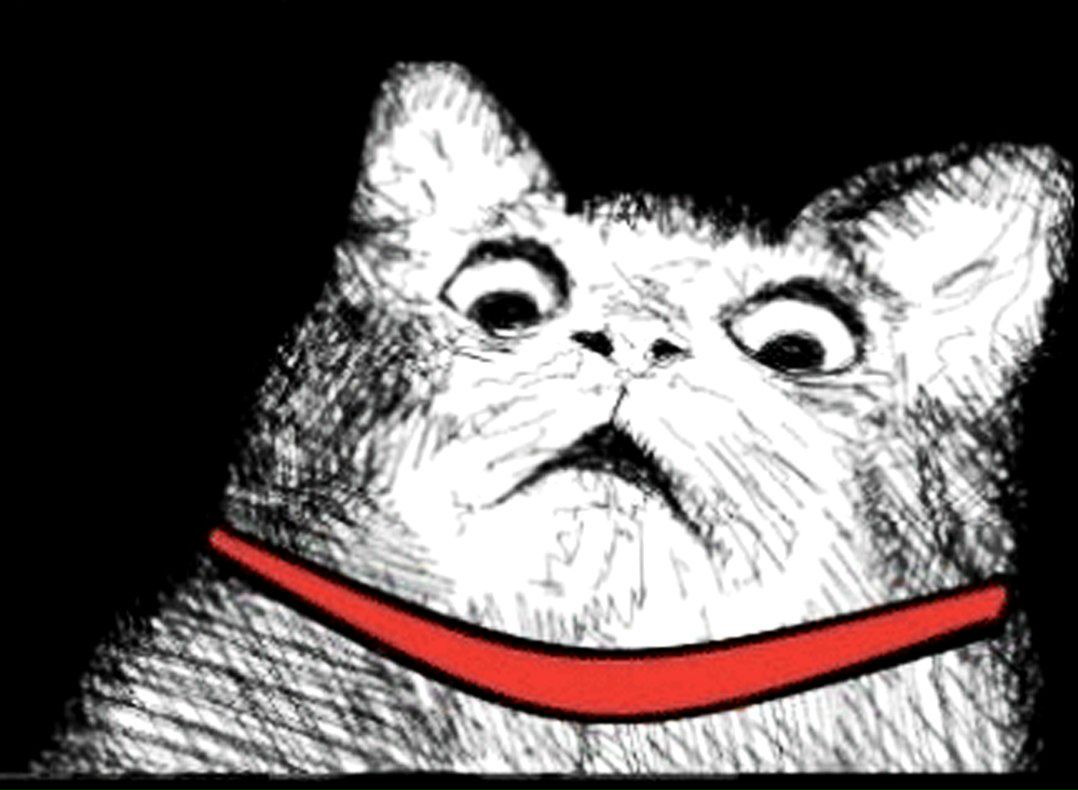 Виталик Беспечный | Хабаровск