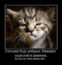 Надежда Когут, Пенза, Россия, 