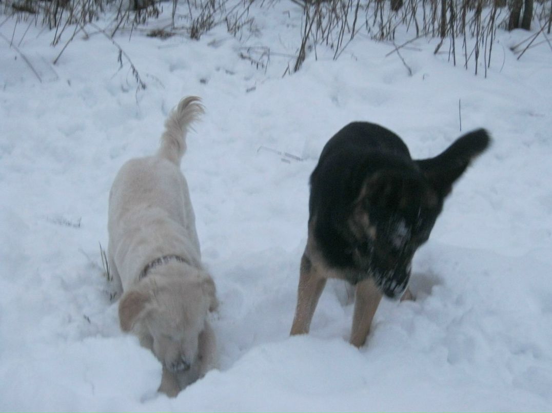 Елена Острова | Санкт-Петербург