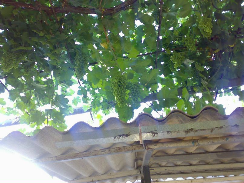 Николай Михайлов | Можга