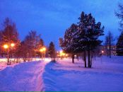№8 Татьяна Шарыга : профиль, фото, статус - ВКонтакте