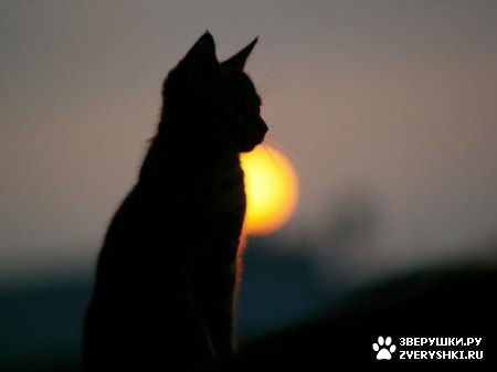 Maksim Парамонов | Казань