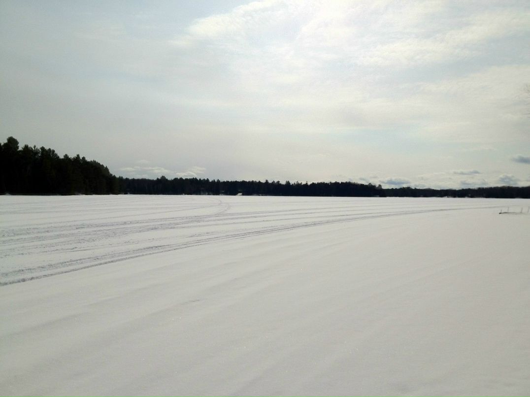 Иришка Малявская | Hamilton