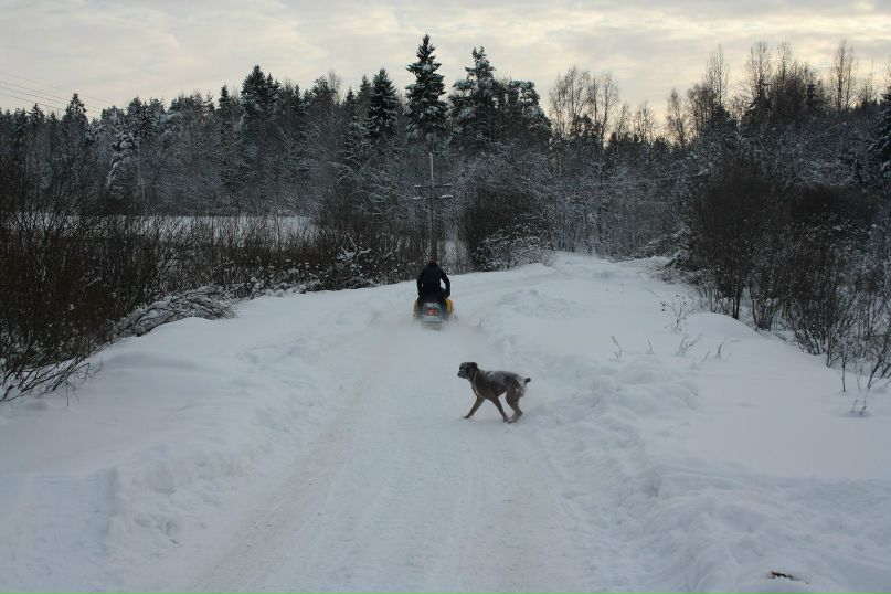 Дмитрий Старожитник | Сортавала