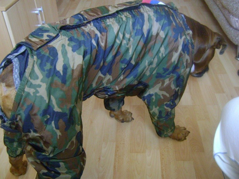 Lenin Medina | Санкт-Петербург