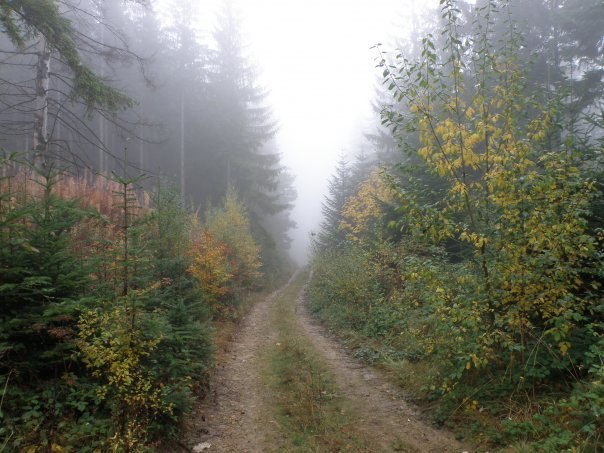 Наталія Тацишин-Войчишин | Ивано-Франковск