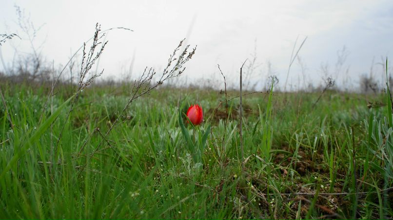 Михаил Болотов | Ростов-на-Дону